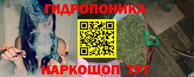 индика Донецк