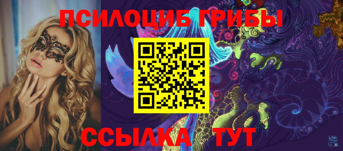 Псилоцибиновые грибы MAGIC MUSHROOMS  Вход с VPN  Малоярославец 
